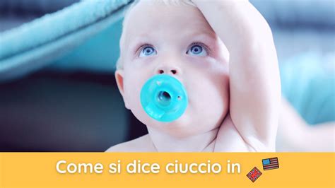 ciuccio in inglese